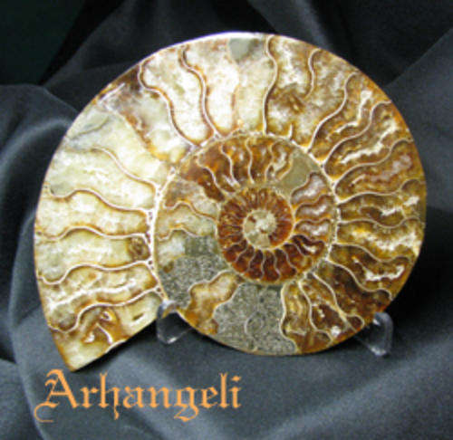 AMMONITE SLICED PAIR WITH RED AND PURPLE OPALITE