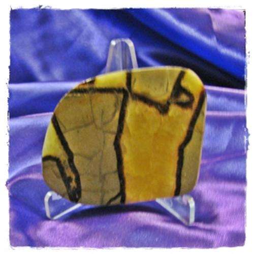 LARGE SEPTARIAN SLICE