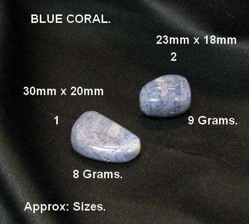 BLUE CORAL TUMBLES
