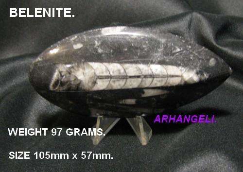 BELEMNITE. 97 GRAMS.