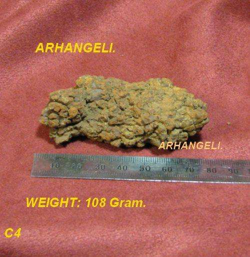 COPROLITE - DINOSAUR DUNG.