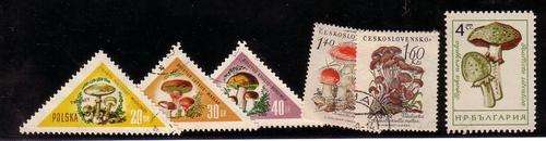 Some selection of mushroom/fungi stamps