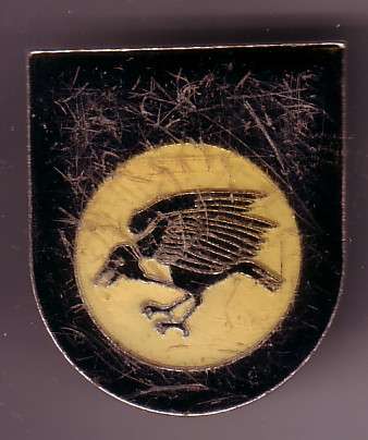 SWA 201 Battalion pocket flash/cap badge