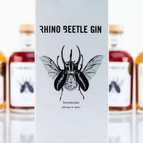 Rhino Beetle Gin 500ml - Honey