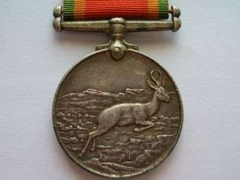 WW2 - Africa Service - 313954 M.L.Lourens (full size, named and numbered)