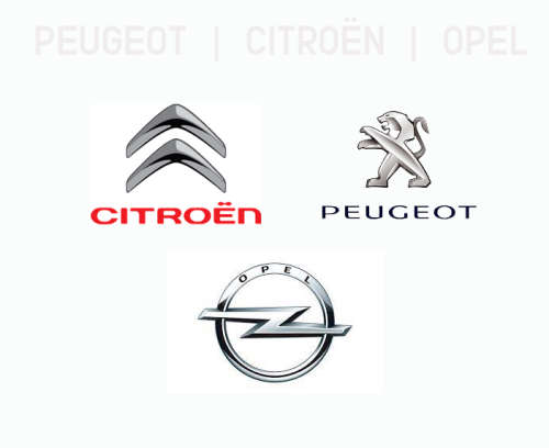 Catalytic Converter for PEUGEOT_OPEL_CITROEN