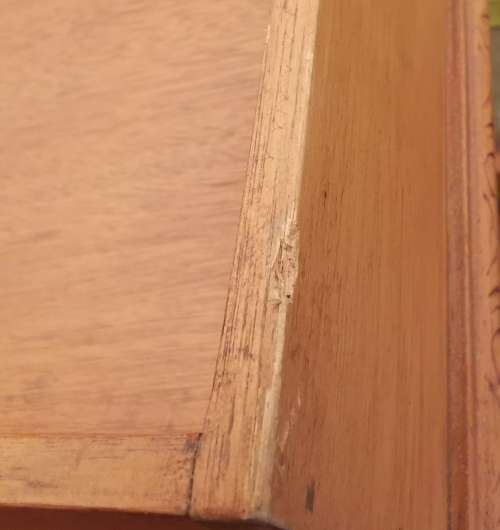 Vintage Butler`s Tray/Table