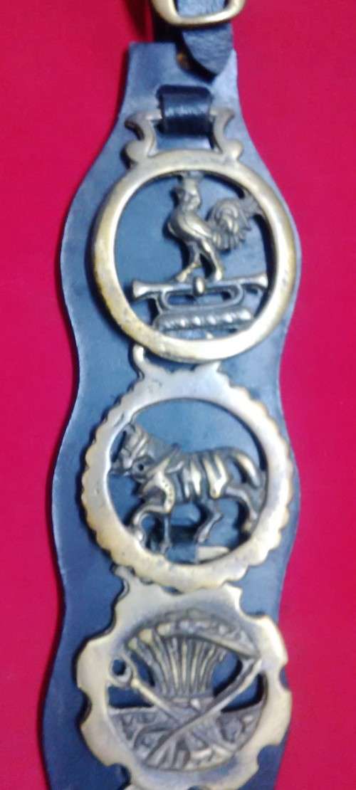 6 VINTAGE HORSE BRASS MEDALLIANS ON BELT-SEE PICTURES