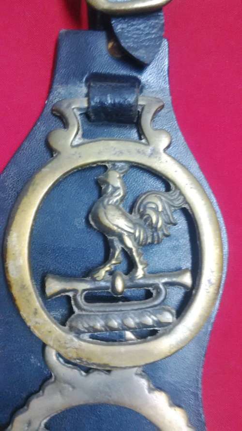 6 VINTAGE HORSE BRASS MEDALLIANS ON BELT-SEE PICTURES