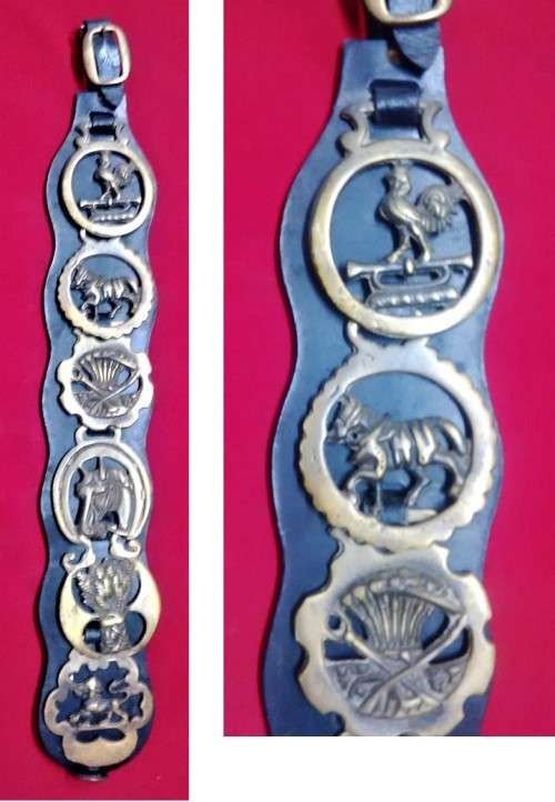 6 VINTAGE HORSE BRASS MEDALLIANS ON BELT-SEE PICTURES
