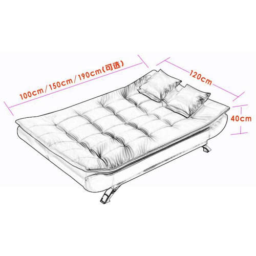 Sleeper Couches / Sofa beds