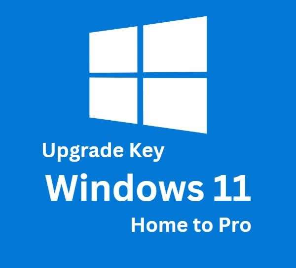 Windows 11 Professional