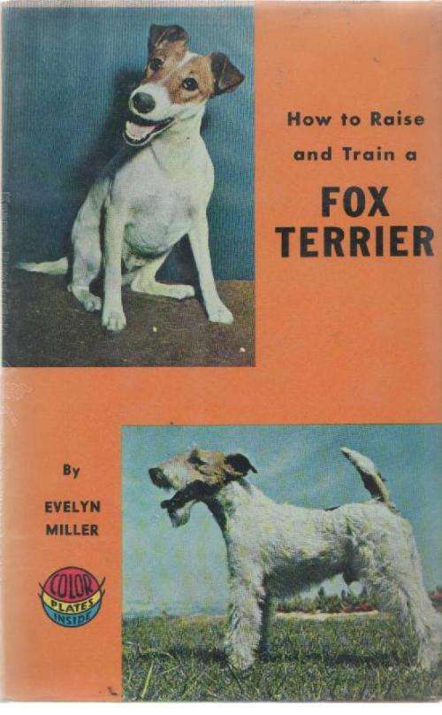 HOW TO RAISE AND TRAIN A FOX TERRIER - EVELYN MILLER (1961)