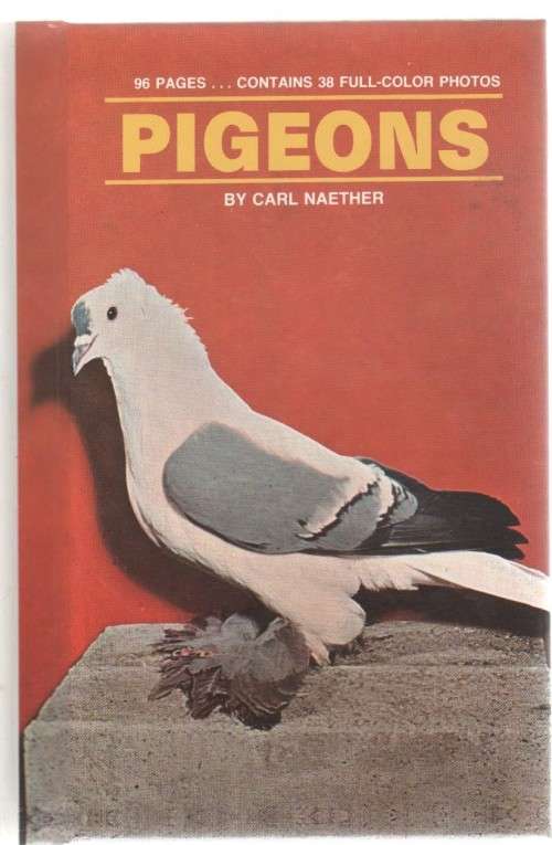 PIGEONS - CARL NAETHER (1984)
