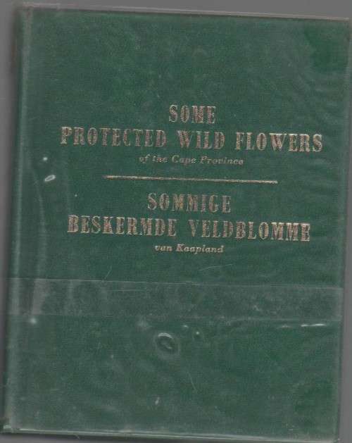 SOME PROTECTED WILD FLOWERS OF THE CAPE PROVINCE/SOMMIGE BESKERMDE VELDBLOMME V KAAPLAND