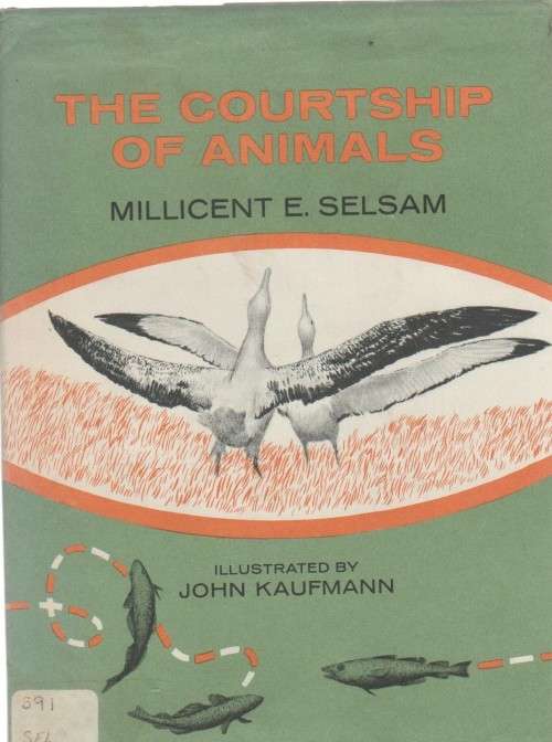 THE COURTSHIP OF ANIMALS -MILLICENT E SELSAM (1 ST PUBLISHED 1970)