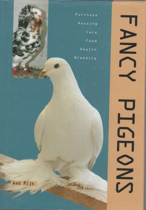 FANCY PIGEONS - AAD RIJS (2006)