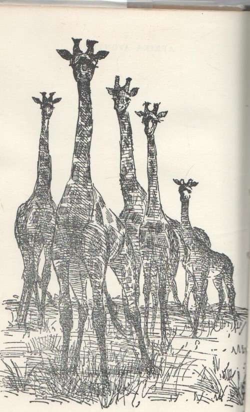 AFRIKA - AVONTUUR - WILLARD PRICE (1963)