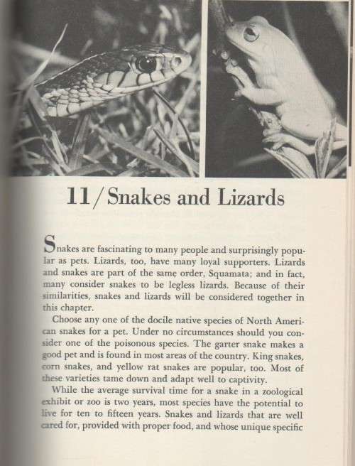 CARE OF UNCOMMON PETS - WILLIAM J WEBER , DVM  (1979)