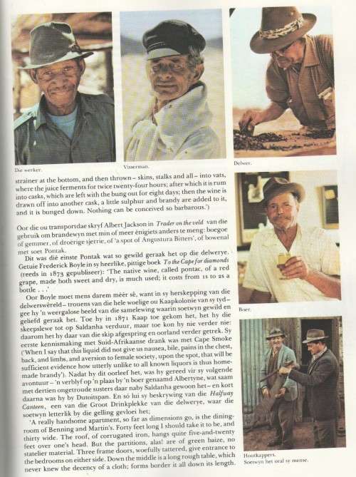 DESSERTWYN IN SUID-AFRIKA - ANDRE P BRINK (1974)