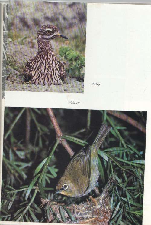 SOME BIRDS OF THE CAPE - J M WINTERBOTTOM AND C J UYS (1969)