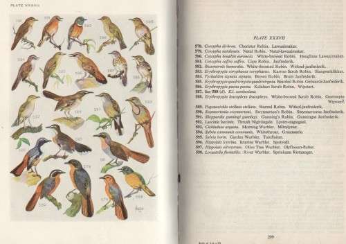 BIRDS OF SOUTH AFRICA - ROBERTS (3 RD IMPRESSION 1961)