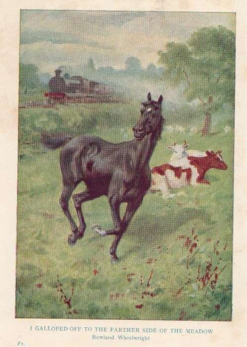 THE CHILDREN'S BLACK BEAUTY -F H LEE AND ANNA SEWELL (1964)