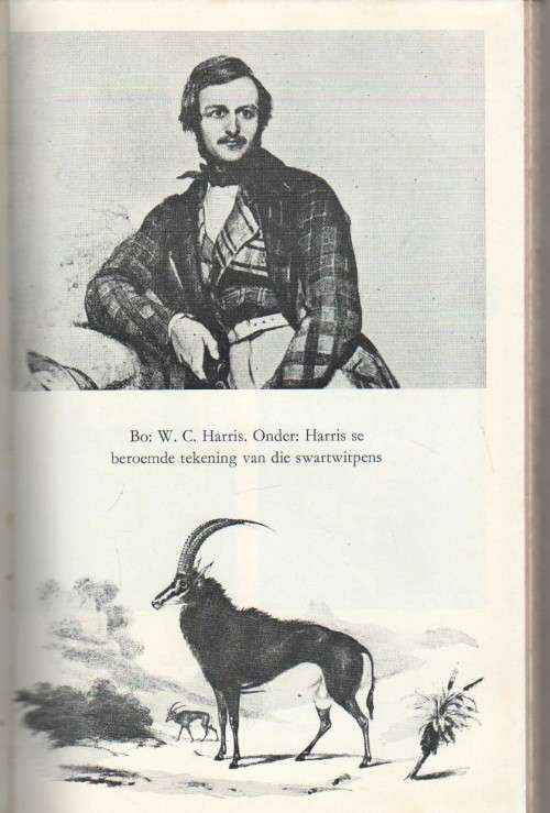 WILDE ROEPING - C J SCHEEPERS STRYDOM (1969) GROOTWILDJAGTER