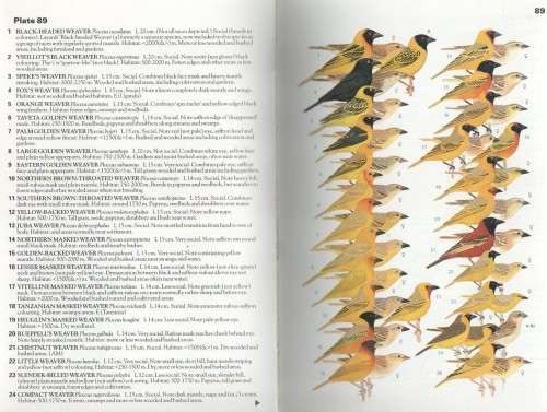 BIRDS OF EASTERN AFRICA, EVERY SPECIES ILLUSTRATED - BER VAN PERLO (1 ST PUB 1995)