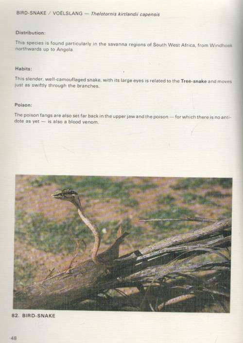 SNAKES OF SOUTH WEST AFRICA - P J BUYS AND P J C BUYS