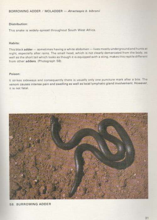 SNAKES OF SOUTH WEST AFRICA - P J BUYS AND P J C BUYS
