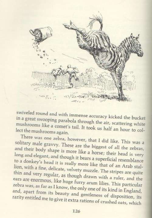 A BEVY OF BEASTS - GERALD DURRELL (1973)
