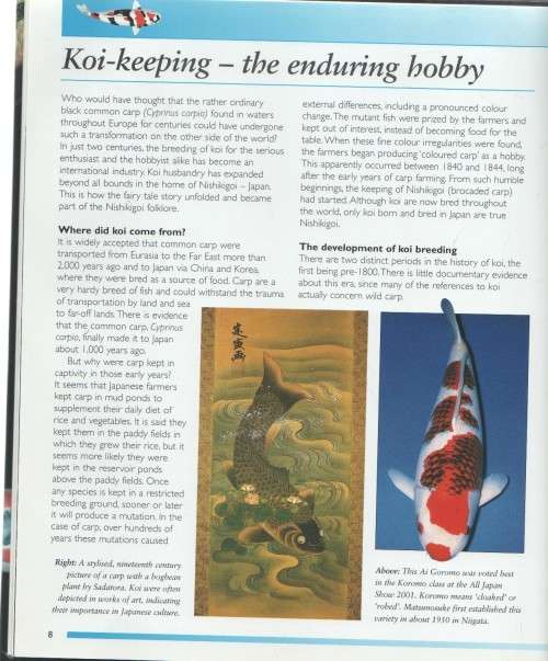 KOI  - TONY PITHAM (2007)