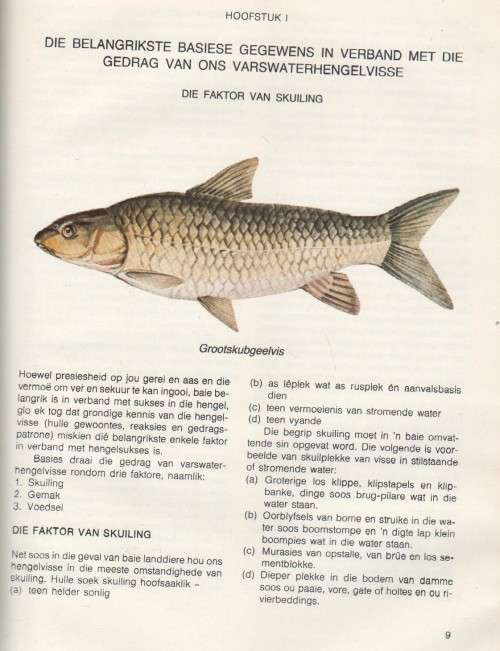 VISGEDRAG EN KUNSAASHENGEL - PROF DR B J ENGELBRECHT (1 STE DRUK 1980)