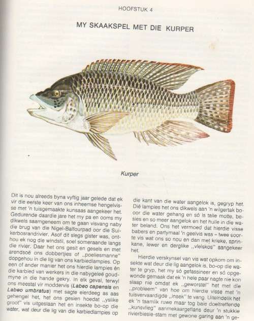 VISGEDRAG EN KUNSAASHENGEL - PROF DR B J ENGELBRECHT (1 STE DRUK 1980)