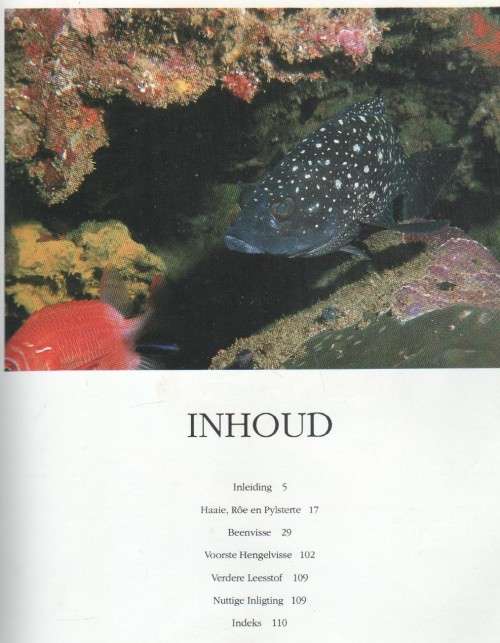'N GIDS TOT SEEVISSE VAN SUIDER-AFRIKA - RUDY VAN DER ELST (1 STE UITGAWE 1990)