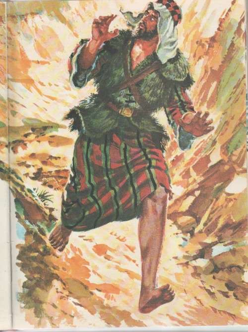 DIE NUWE KINDERBYBEL IN KLEUR - PAUL VON STADEN ( 3DE DRUK 1972)