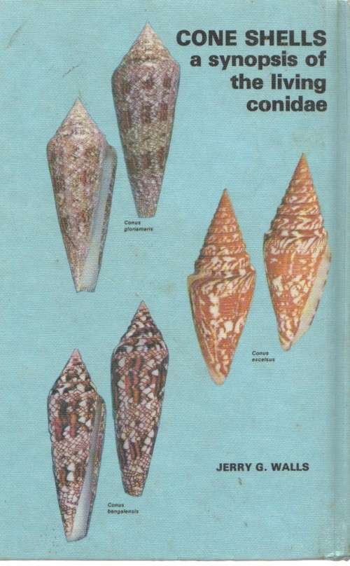 CONE SHELLS, A SYNOPSIS OF THE LIVING CONIDAE - JERRY G  WALLS