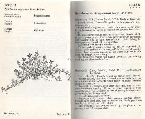 KAROO-PLANTRYKDOM/ KAROO PLANT WEALTH - N K HOBSON (1970)