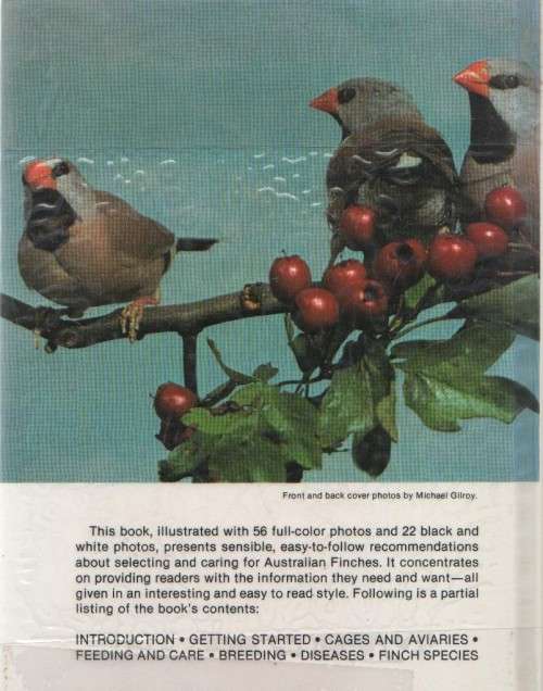 FINCHES - ERICH FRIESE (1983)