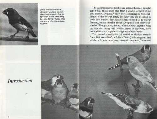 FINCHES - ERICH FRIESE (1983)