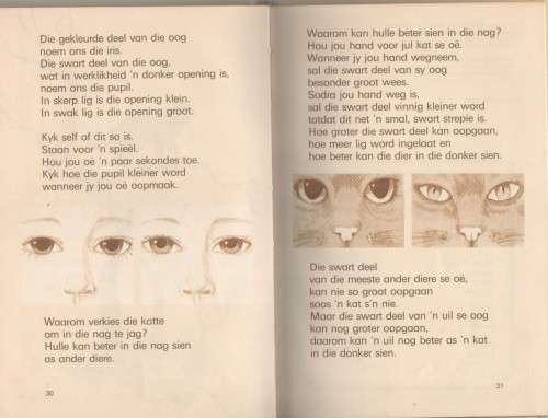 WIPPIE - WINCKLER EN MARAIS (1988)