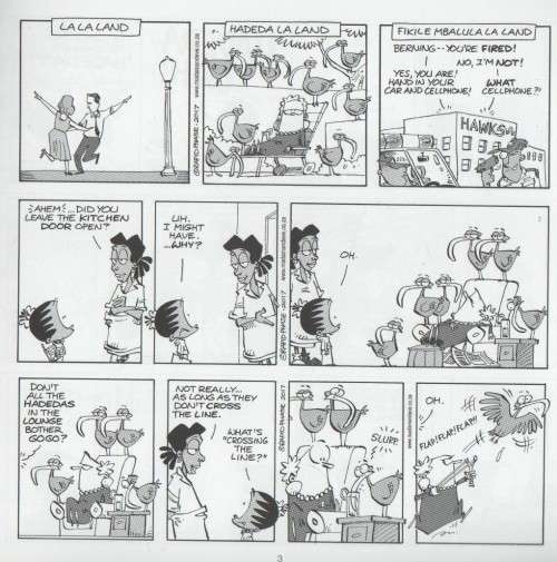 HADEDA LA LAND - A NEW MADAM & EVE COLLECTION - STEPHEN FRANCIS & RICO