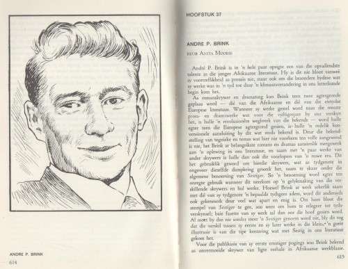 PERSPEKTIEF EN PROFIEL - P J NIENABER