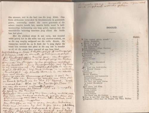 LENTE-STEMME - H J R VAN BRUGGEN (1919)