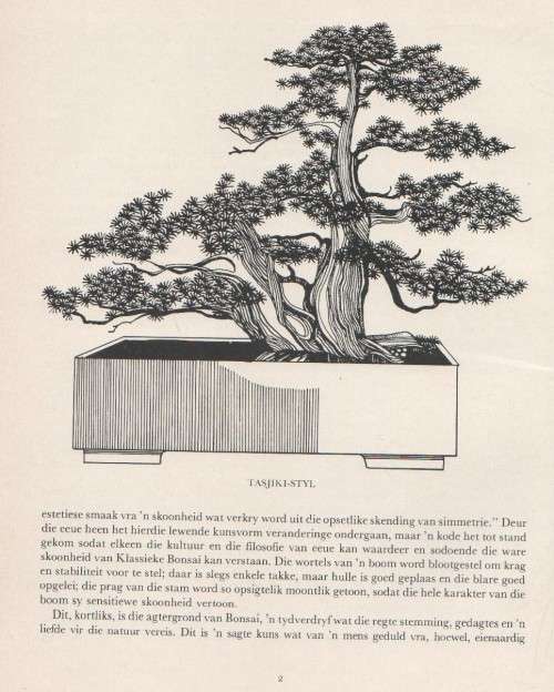 DIE SUID-AFRIKAANSE BONSAI-BOEK - DOUG HALL & DON BLACK (1 STE UITGAWE 1977)