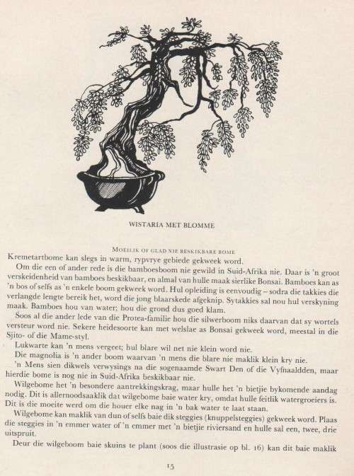 DIE SUID-AFRIKAANSE BONSAI-BOEK - DOUG HALL & DON BLACK (1 STE UITGAWE 1977)