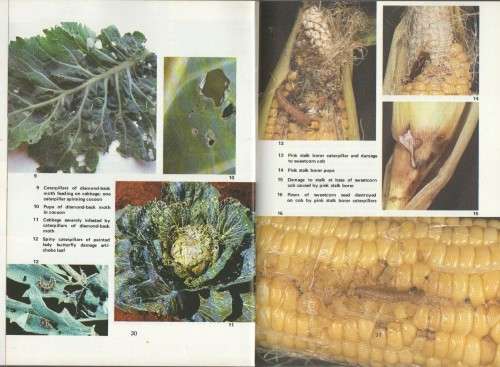 THREE HARD COVER BOOKS BY THE PLANT PROTECTION RESEARCH INSTITUTE- BAYER