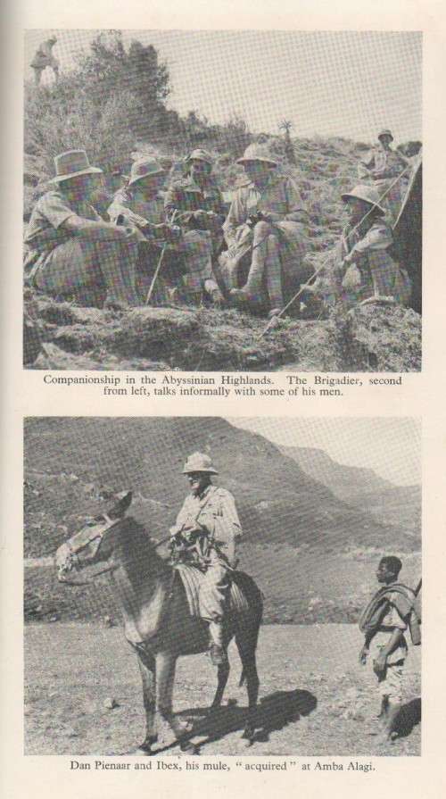 PIENAAR OF ALAMEIN - A M POLLOCK  (1943)