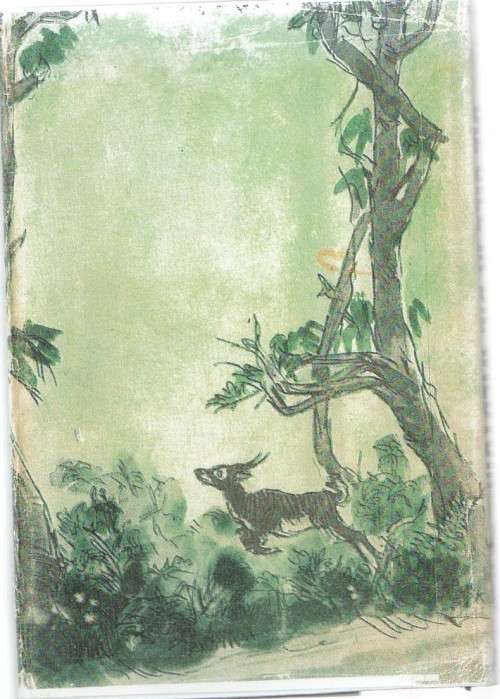 DIE UILE IN DIE WILDTUIN - COR DIRKS (3 DE DRUK 1965)